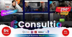 Consultio Theme