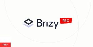 Brizy PRO