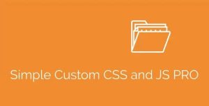 Simple Custom CSS and JS PRO