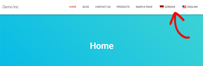 Huong Dan Dich WordPress cua Ban voi TranslatePress 10