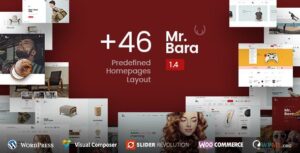 Mr.Bara theme