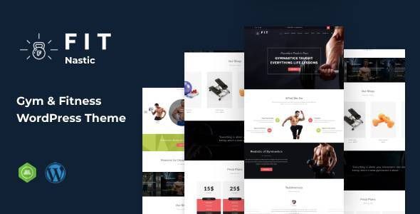 Fitnastic Theme