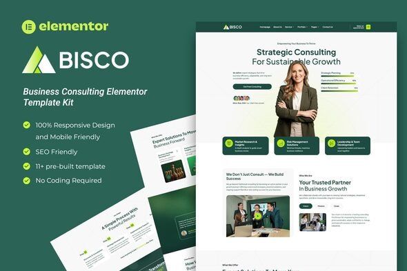 Bisco Business Consulting Elementor Template Kit