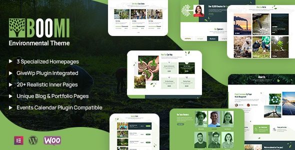 Boomi Theme