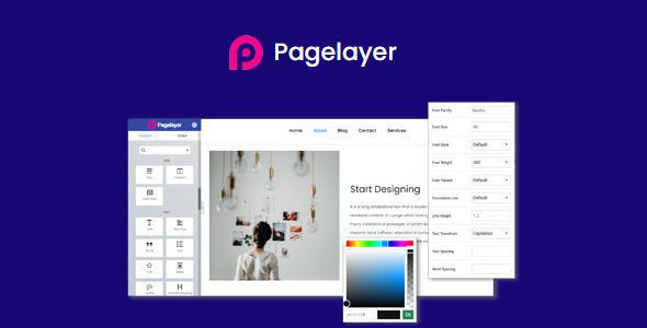 Pagelayer Pro – WordPress Page Builder Plugin