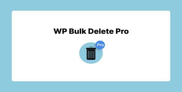 WP Bulk Delete Pro Plugin